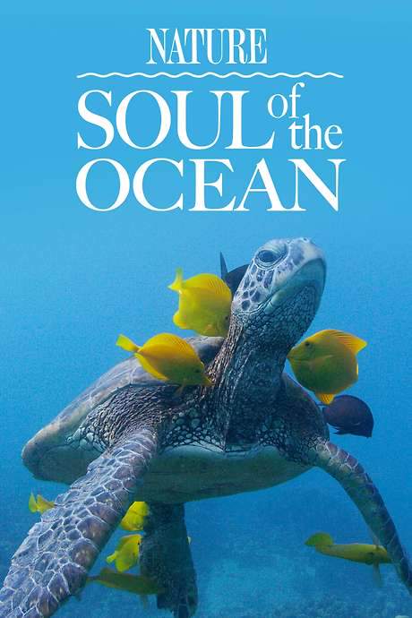 Soul of the Ocean